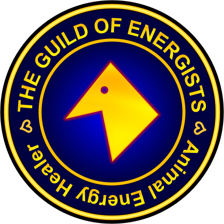 Online Trainings & Courses