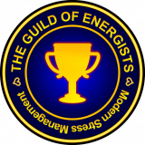 MSM Foundation Manual (English)